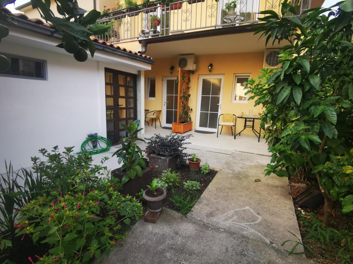 Radovic Apartments Budva Luaran gambar